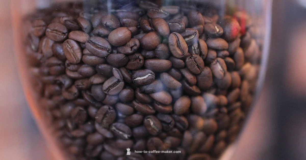 Bean to Cup Guide - BrewGuide Pro