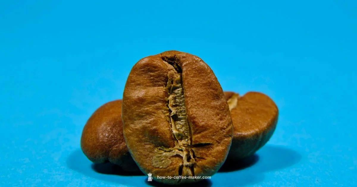 Best Coffee Makers - BrewGuide Pro