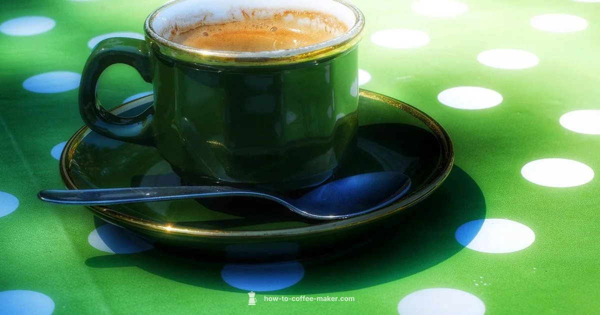 Delonghi Magnifica Evo Review - BrewGuide Pro