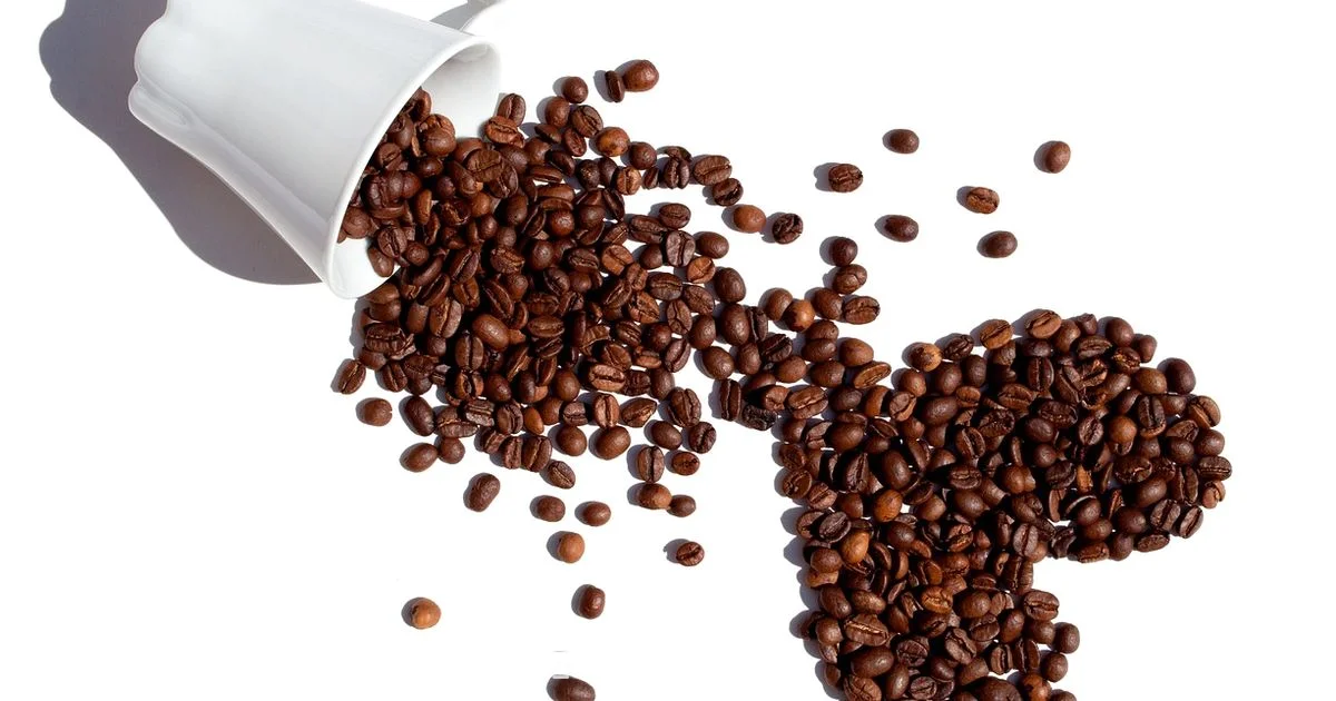 Effortless Brew - BrewGuide Pro