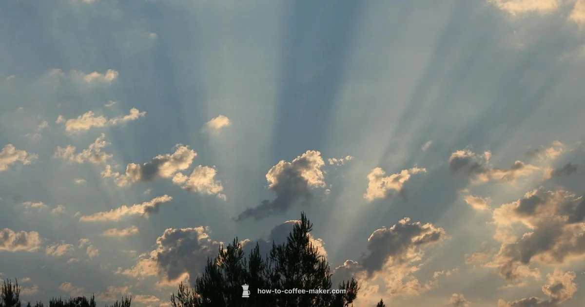 Keurig Deals 2026 - BrewGuide Pro