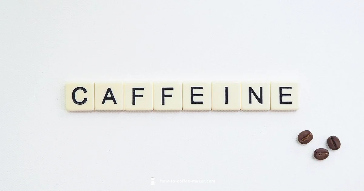 Espresso vs Coffee - BrewGuide Pro