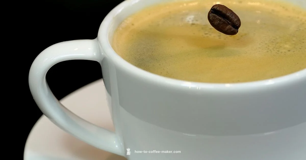 Bean to Cup Guide - BrewGuide Pro