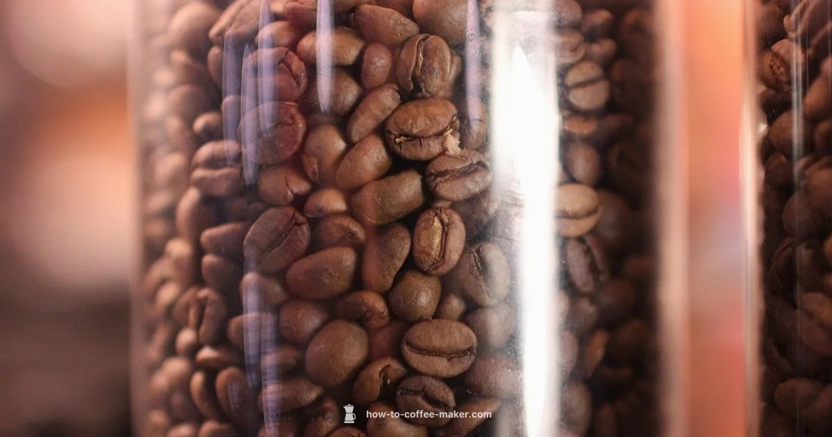 Commercial Bean to Cup Commercial Bean to Cup - BrewGuide Pro