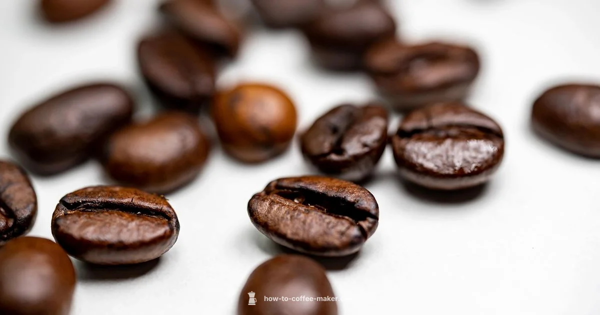 Fresh Grounds, Fresh Flavor - BrewGuide Pro