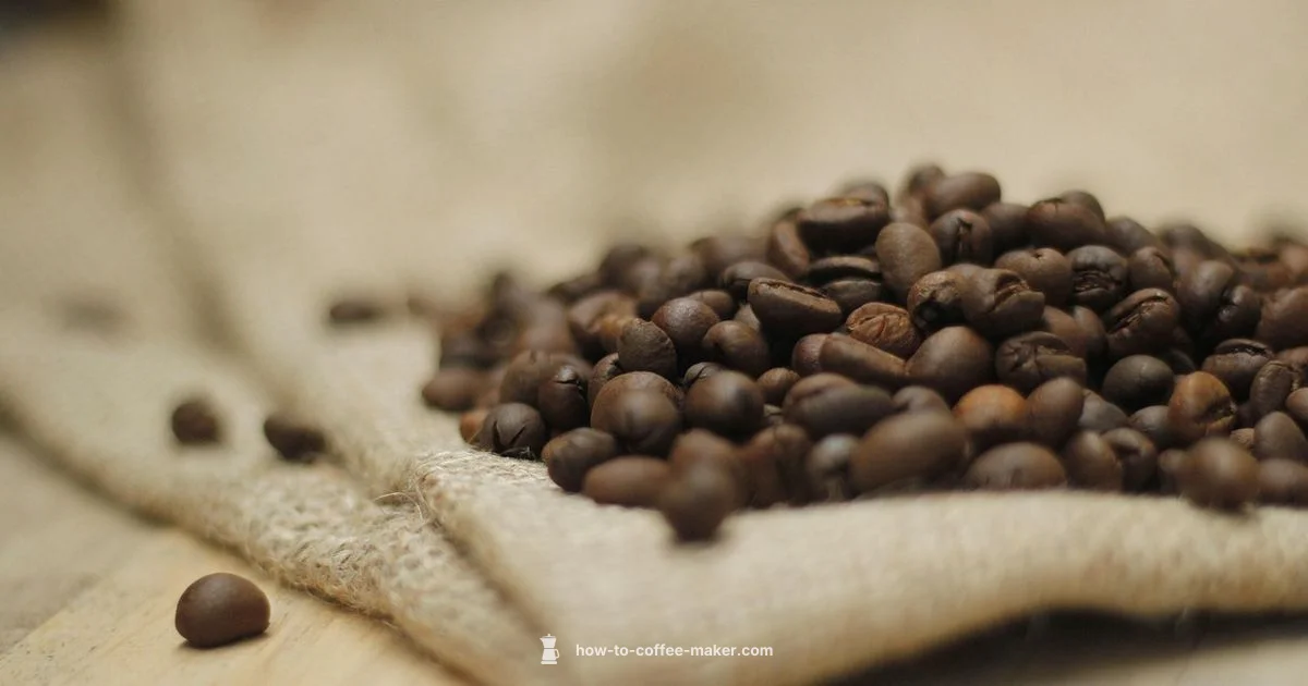 Best Auto Coffee Maker - BrewGuide Pro