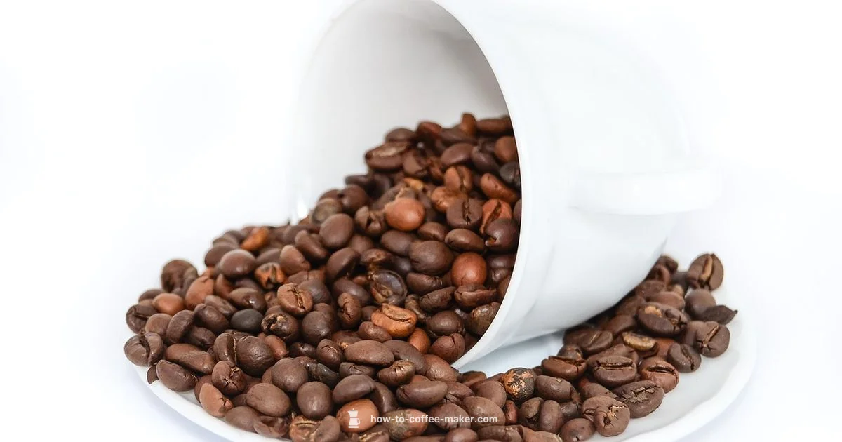 Express at Home - BrewGuide Pro