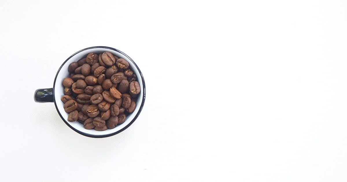 Right Coffee, Right Machine Right Coffee, Right Machine - BrewGuide Pro