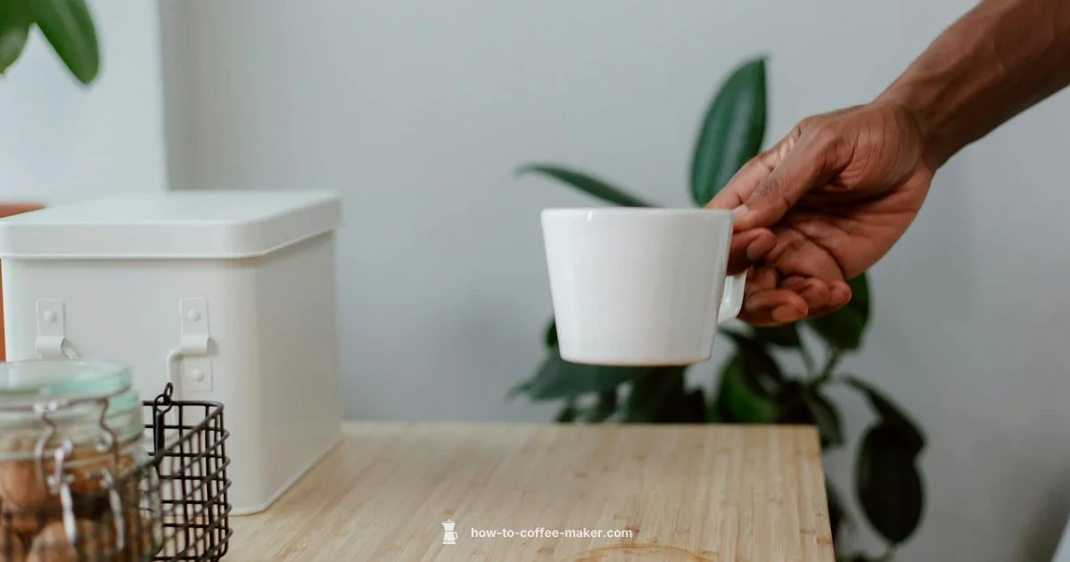 Bunn 10 Cup Guide Bunn 10 Cup Guide - BrewGuide Pro