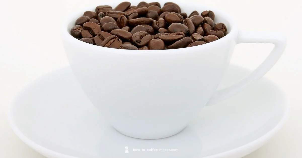 Tea and Coffee Duo - BrewGuide Pro