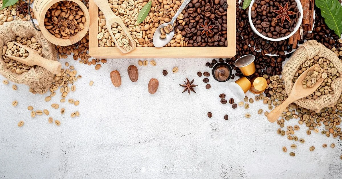 Coffee Pots for Sale - BrewGuide Pro