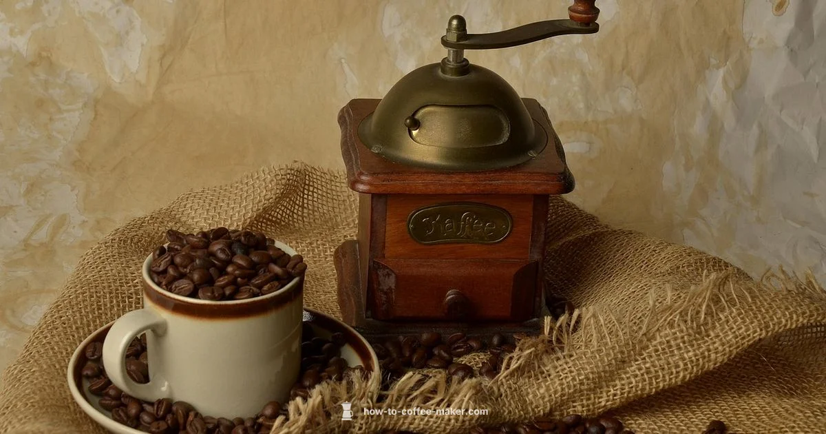 Mr Coffee 4-Cup Review - BrewGuide Pro