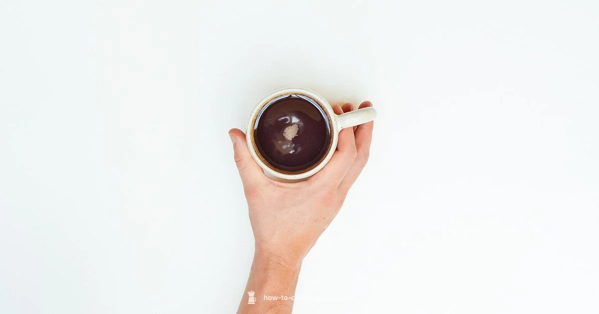 MR Coffee 5 Cup Guide - BrewGuide Pro