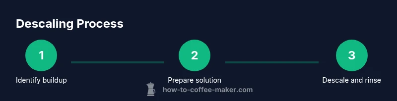 Infographic showing calcium descaling steps for a coffee maker
