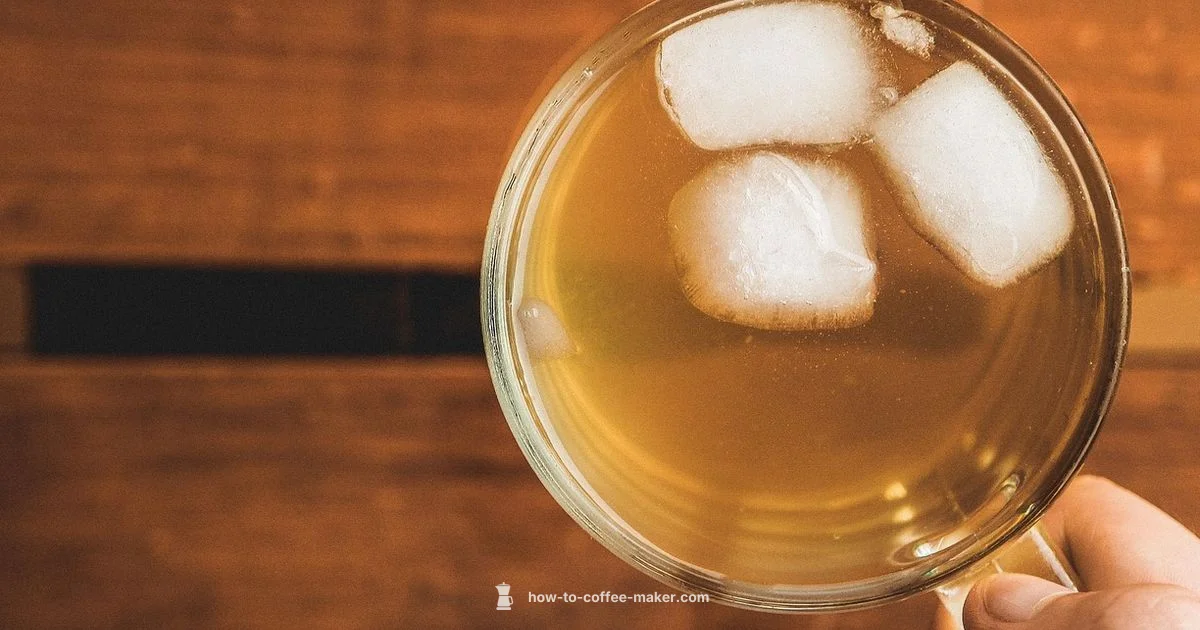 Iced Tea Maker Guide - BrewGuide Pro