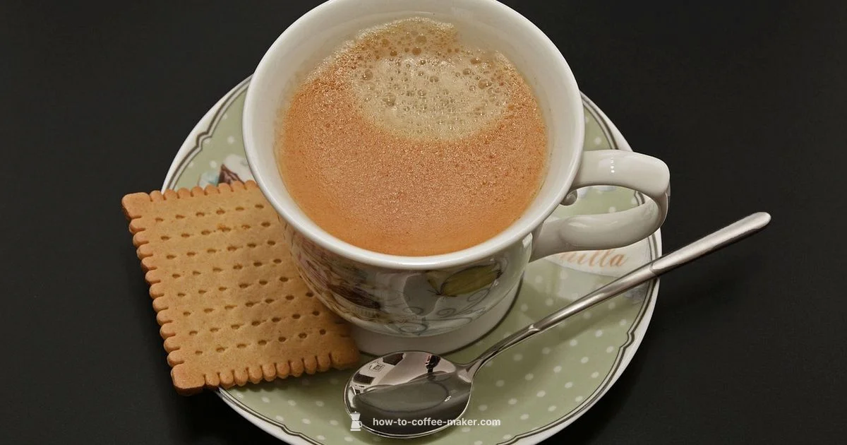 Programmable Coffee Maker - BrewGuide Pro