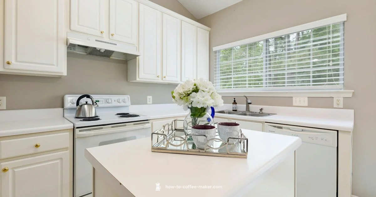 White Coffee Maker Guide - BrewGuide Pro