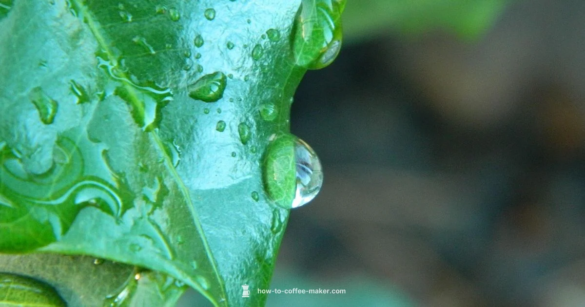 Overflow Fix - BrewGuide Pro