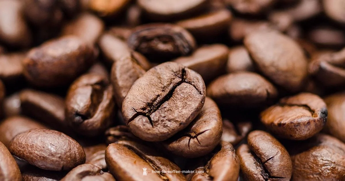 All In One Brew - BrewGuide Pro