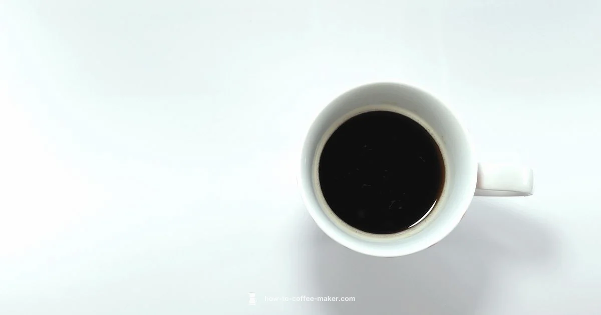 Ninja Dual Brew Guide - BrewGuide Pro