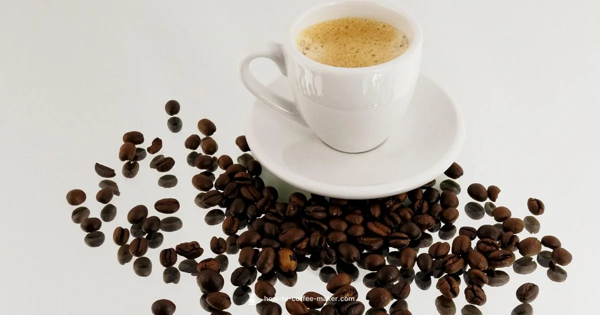 Drew Barrymore Brew Pot - BrewGuide Pro