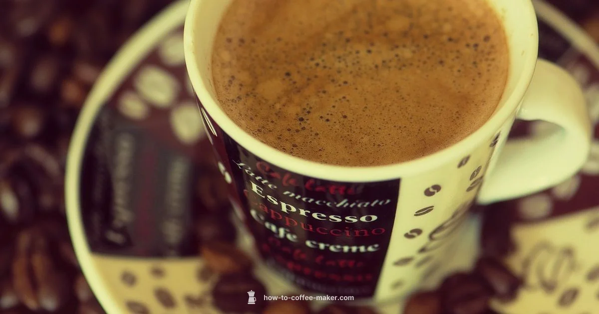 Top Picks 2026 - BrewGuide Pro