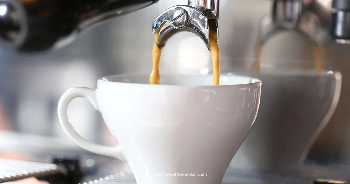 Coffee Maker vs Barista - BrewGuide Pro