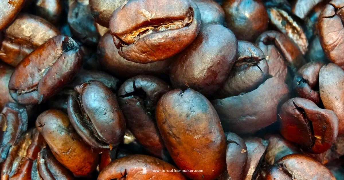 Whole Bean Brewer - BrewGuide Pro