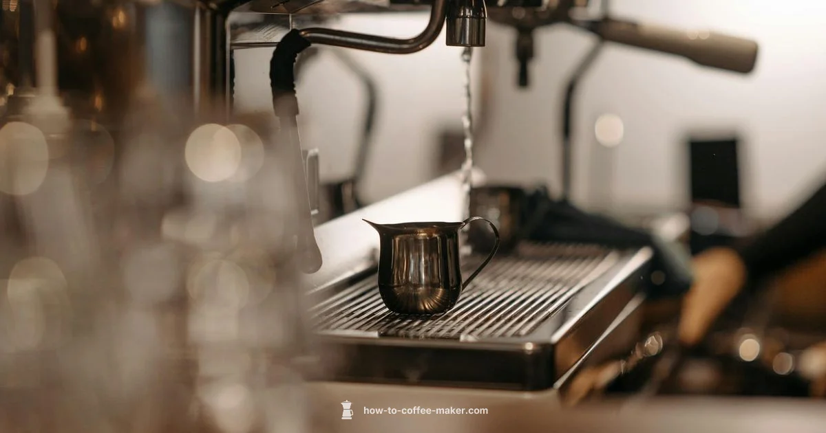 Spinn Without App - BrewGuide Pro