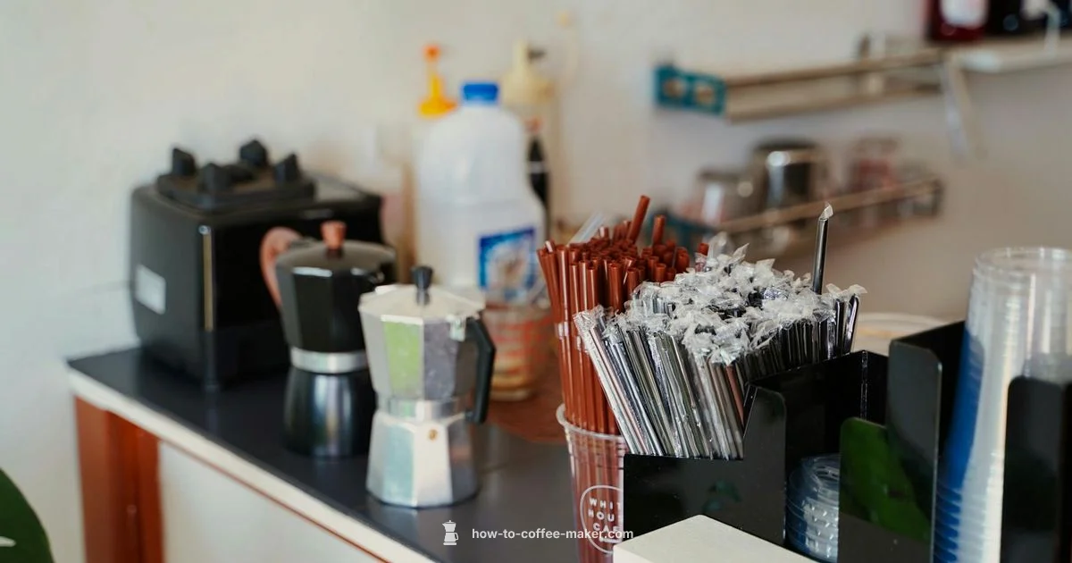 Safe Plastic Coffee Makers - BrewGuide Pro