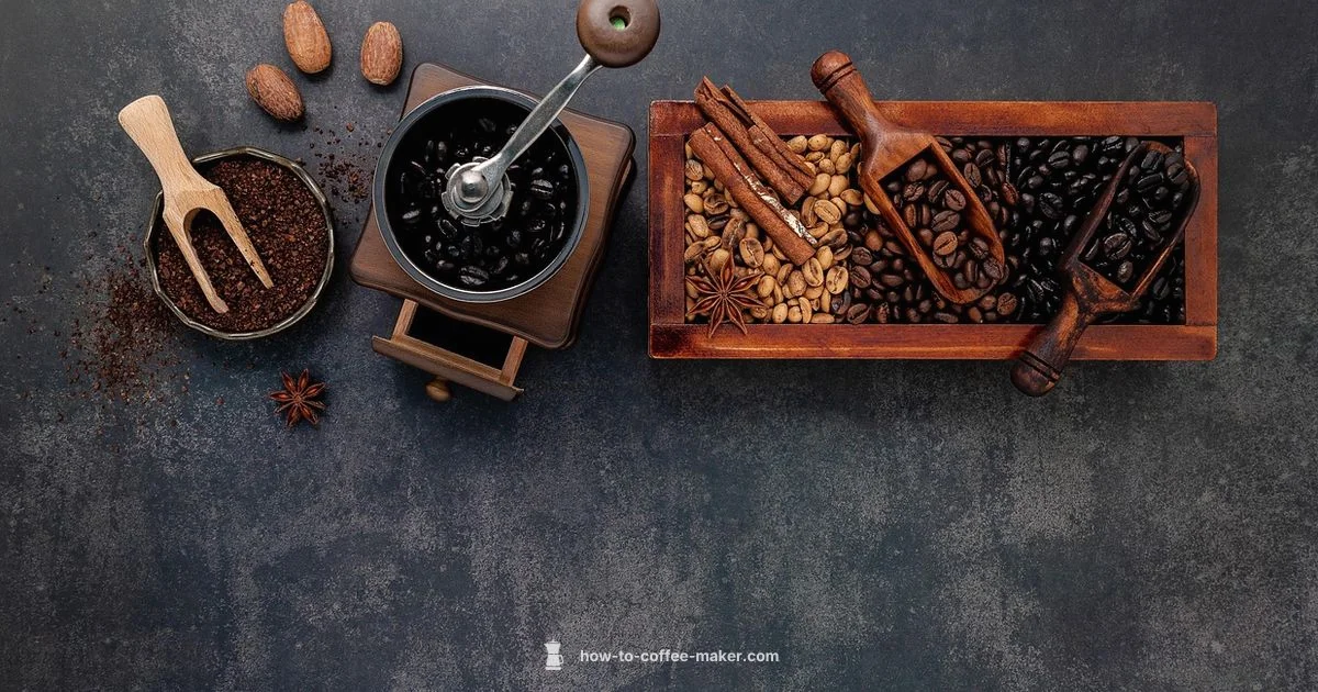 Grind & Brew Setup - BrewGuide Pro