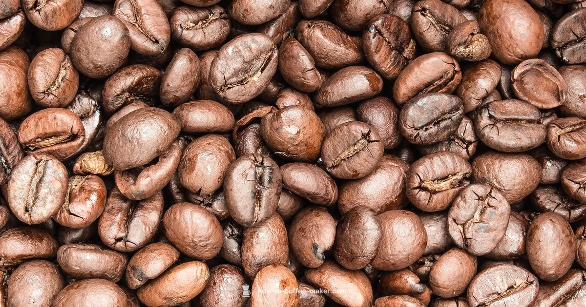 Grinder Espresso Duo Grinder Espresso Duo - BrewGuide Pro