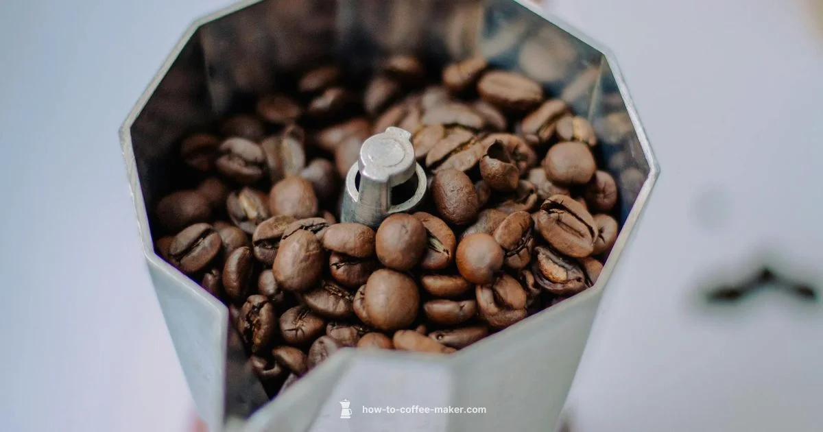 Lifespan Guide - BrewGuide Pro