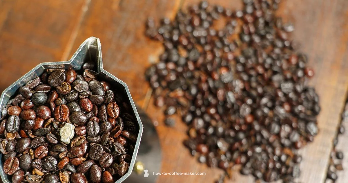 Cleaner Brew Routine - BrewGuide Pro