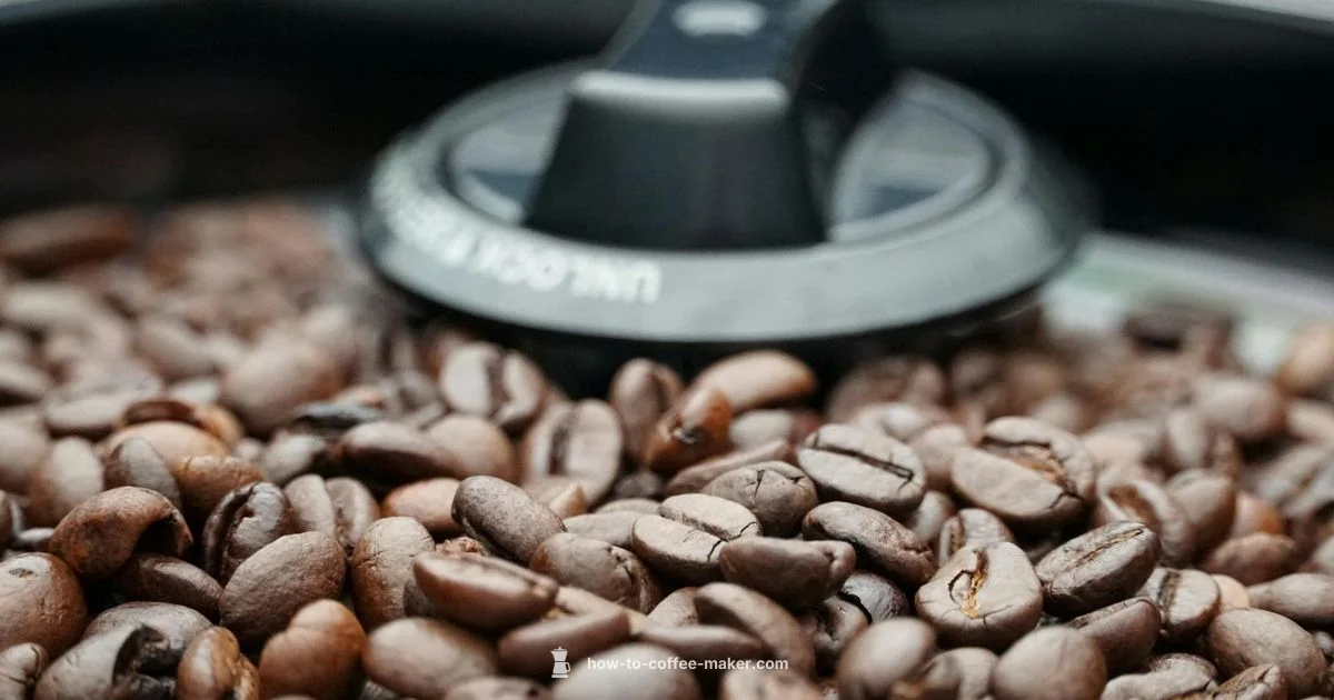 Fresh Ground Coffee - BrewGuide Pro