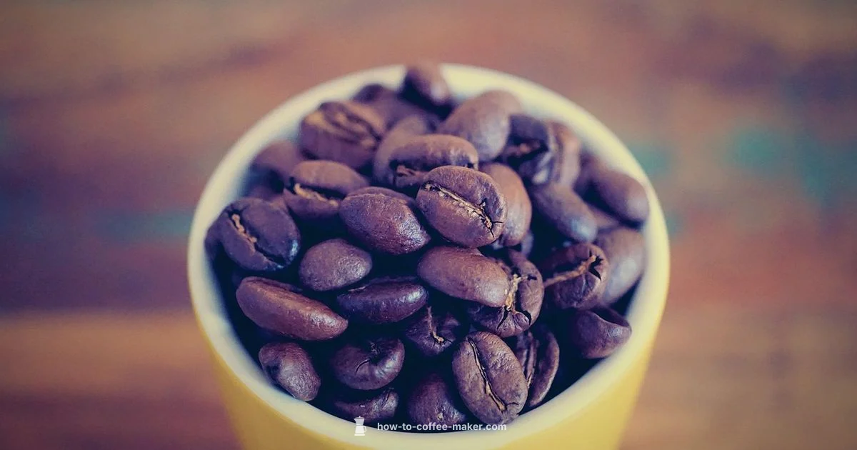 Grind N Brew - BrewGuide Pro