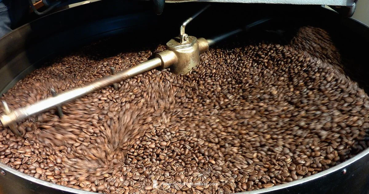 B Coffee Machine Review - BrewGuide Pro