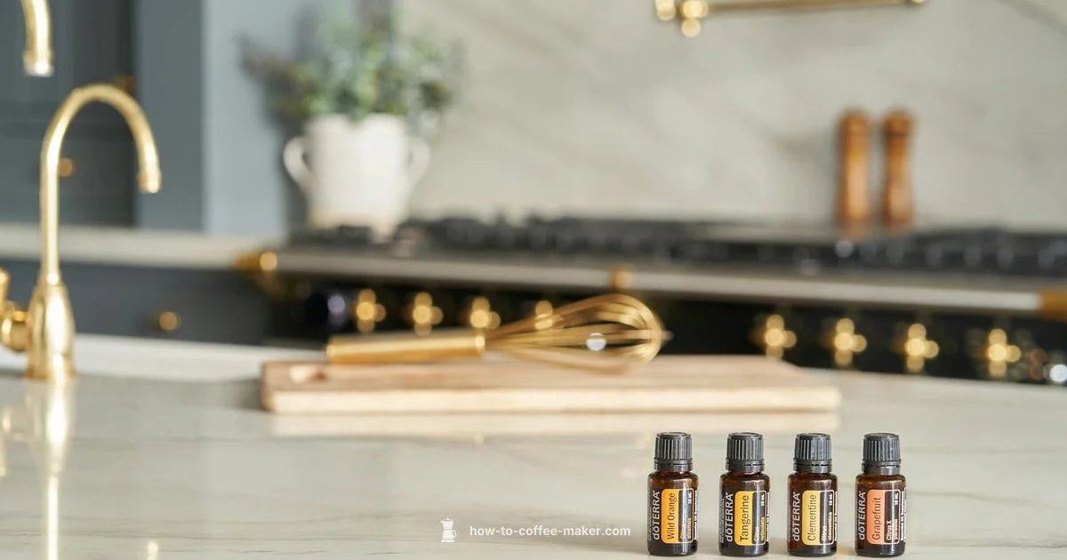 Cafe-Quality at Home - BrewGuide Pro