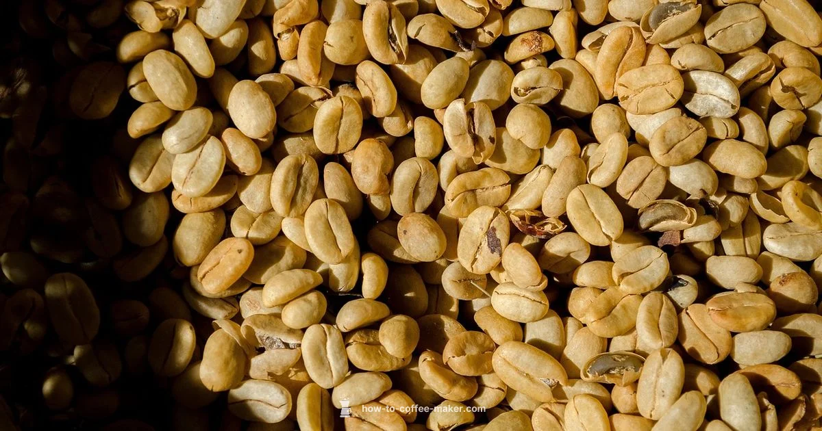 Filter-Free Brew - BrewGuide Pro