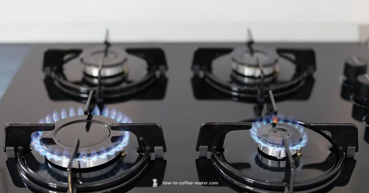 Stovetop Guide - BrewGuide Pro