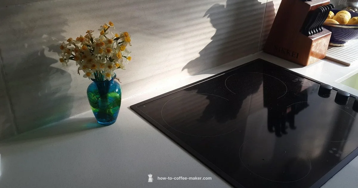 Espresso at Home - BrewGuide Pro