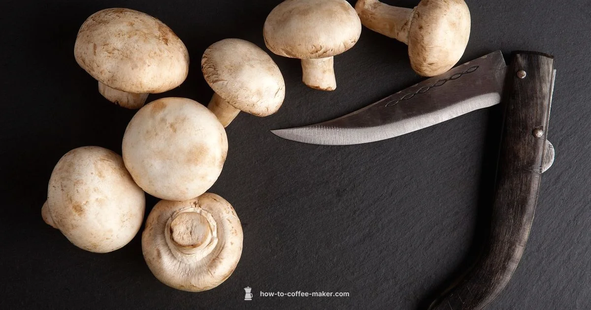 Best Delonghi Picks - BrewGuide Pro