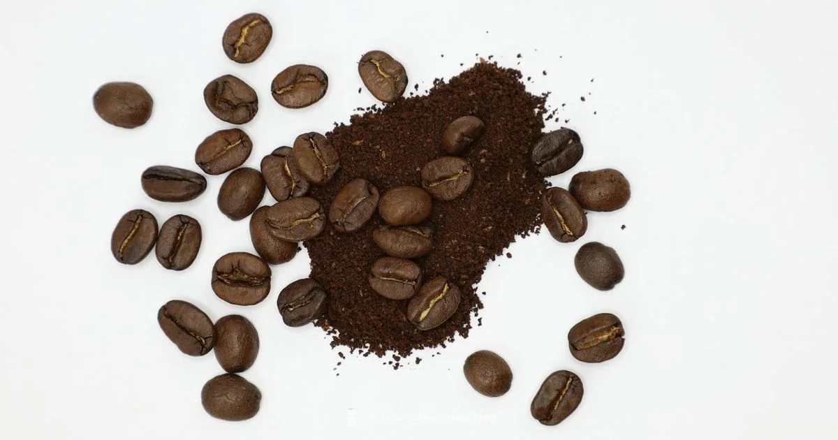 Ninja Pod & Grounds - BrewGuide Pro