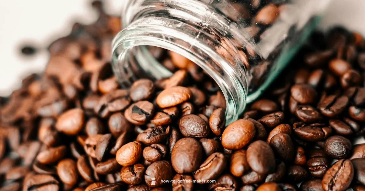 mrcoffee Essentials in Kitchen mrcoffee Essentials in Kitchen - BrewGuide Pro