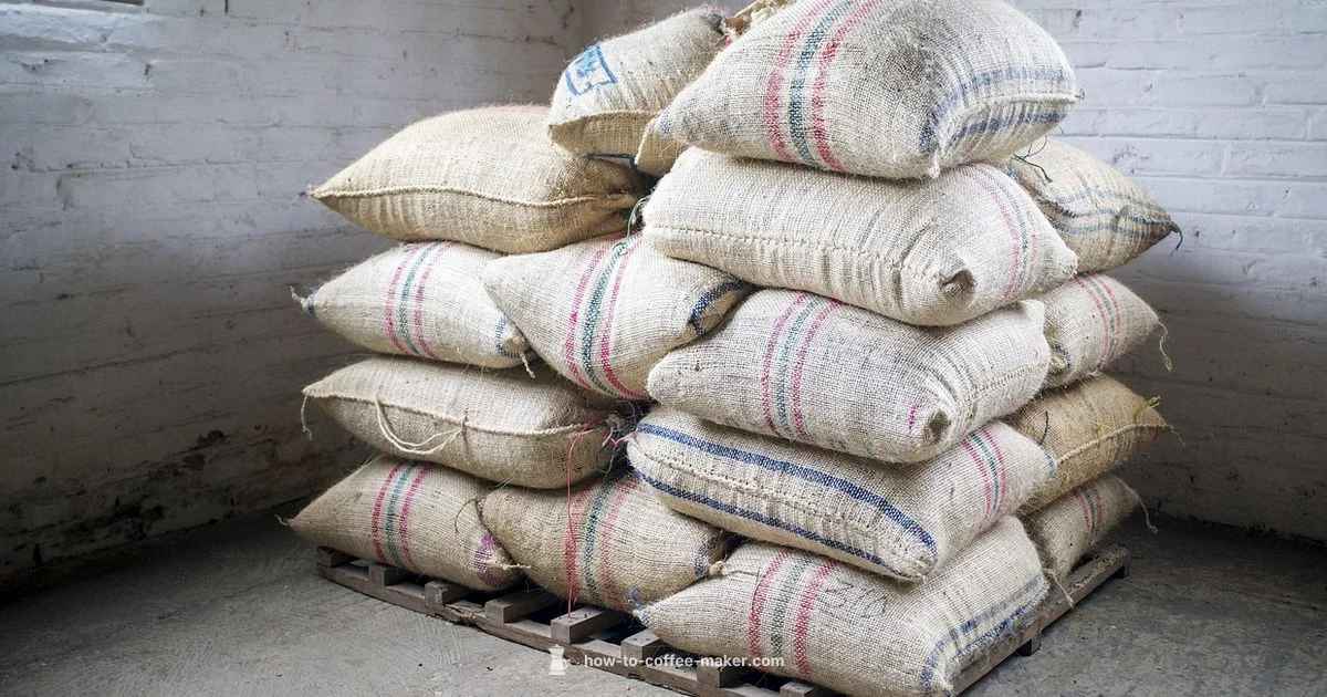 Coffee Bean Focus - BrewGuide Pro