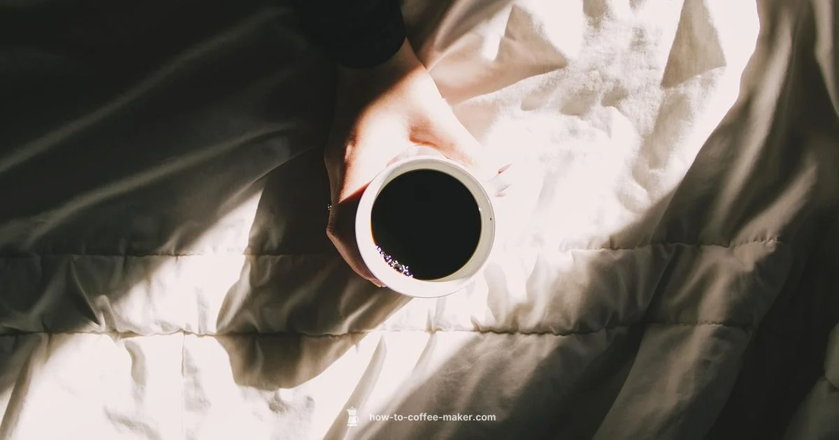 Compact Coffee Solution - BrewGuide Pro