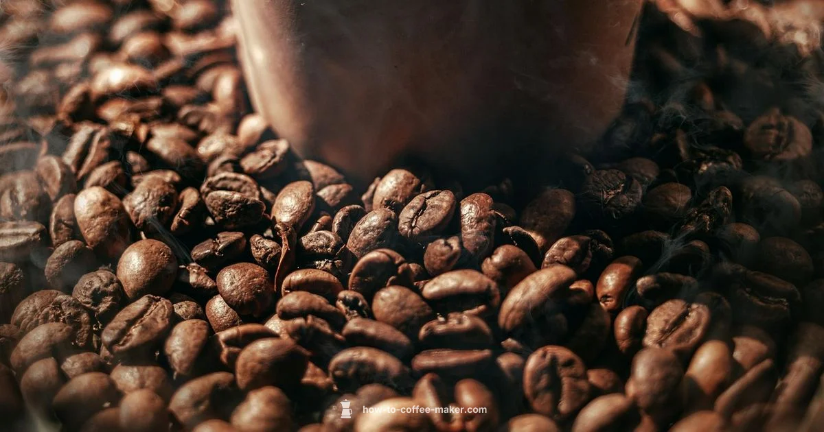 Grounds Reuse Guide - BrewGuide Pro