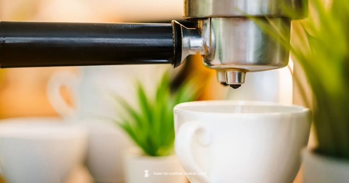 Citric Descale Guide - BrewGuide Pro