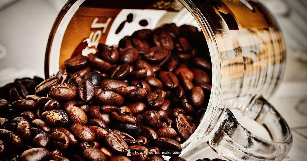 Most Expensive Makers - BrewGuide Pro