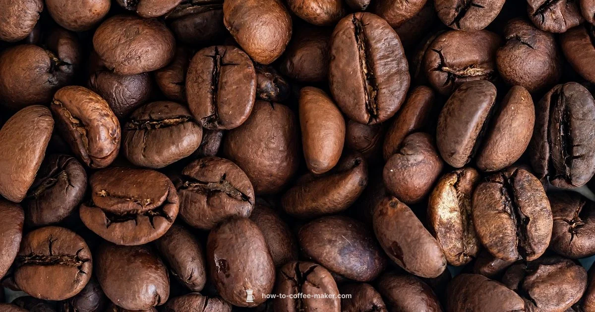 Coffee Urn Essentials - BrewGuide Pro